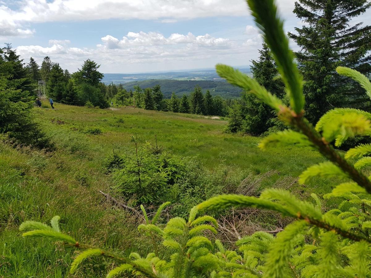 Vakantieappartement Achat Duitsland Wirschweiler Eksteriør bilde