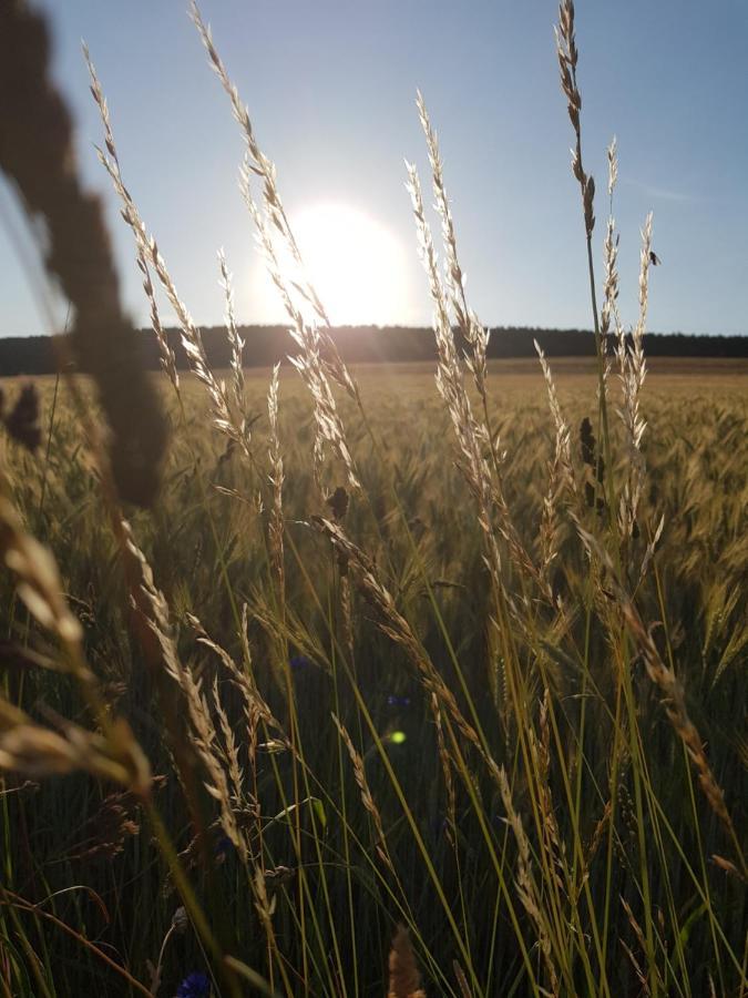 Vakantieappartement Achat Duitsland Wirschweiler Eksteriør bilde